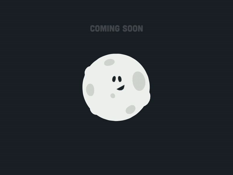 Project Name